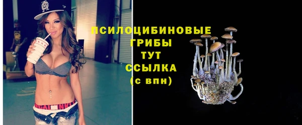 винт Армянск