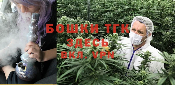 винт Армянск