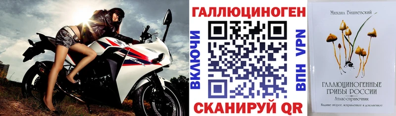 Псилоцибиновые грибы Psilocybe где можно купить MEGA ONION Суворов
